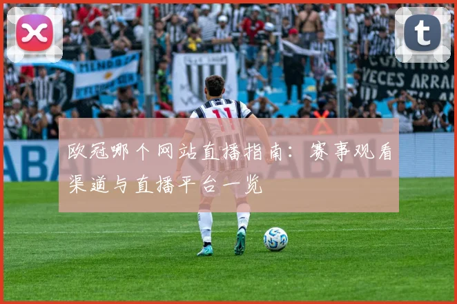 欧冠哪个网站直播指南：赛事观看渠道与直播平台一览