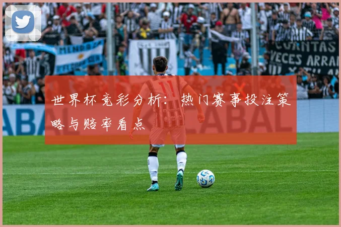 世界杯竞彩分析：热门赛事投注策略与赔率看点