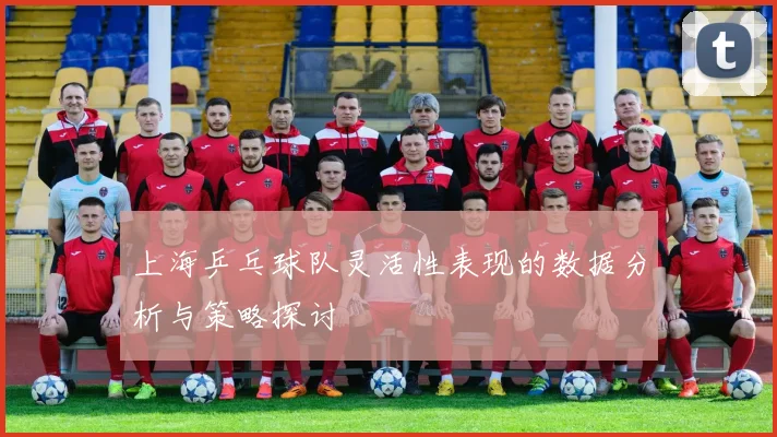 上海乒乓球队灵活性表现的数据分析与策略探讨