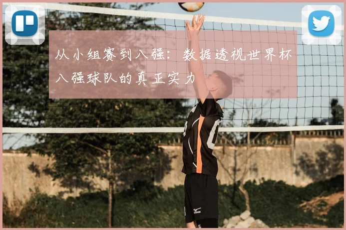 从小组赛到八强：数据透视世界杯八强球队的真正实力