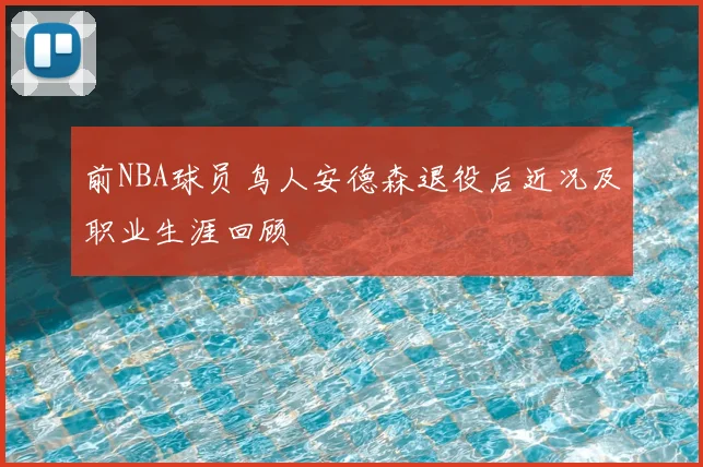 前NBA球员鸟人安德森退役后近况及职业生涯回顾
