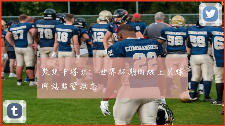 聚焦卡塔尔：世界杯期间线上买球网站监管动态