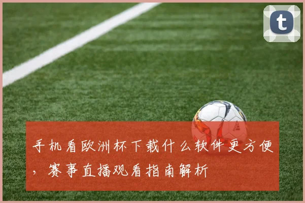 手机看欧洲杯下载什么软件更方便，赛事直播观看指南解析