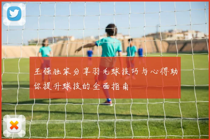 王强独家分享羽毛球技巧与心得助你提升球技的全面指南