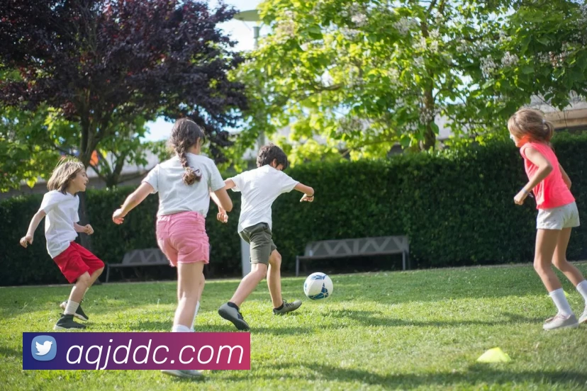 媒体人称万项为国家级未来之星贝尔格莱德红星造星工场再添新秀