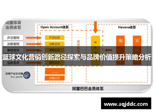 篮球文化营销创新路径探索与品牌价值提升策略分析